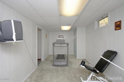 299 E Pakes Rd, Stanton, MI 48888 photo 21