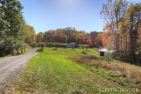 299 E Pakes Rd, Stanton, MI 48888 photo 26