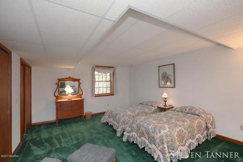 299 E Pakes Rd, Stanton, MI 48888 photo 19