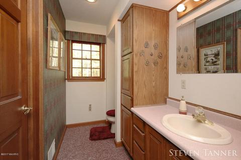 299 E Pakes Rd, Stanton, MI 48888 photo 16