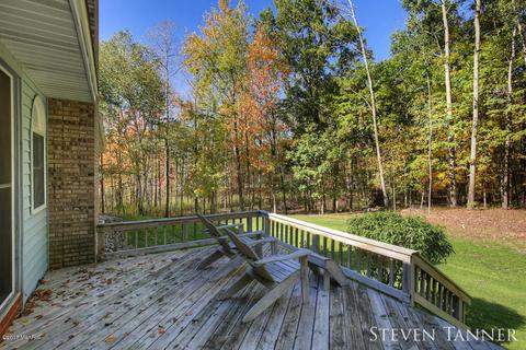 299 E Pakes Rd, Stanton, MI 48888 photo 24