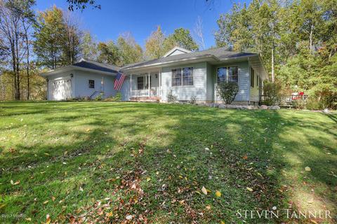 299 E Pakes Rd, Stanton, MI 48888 photo 2