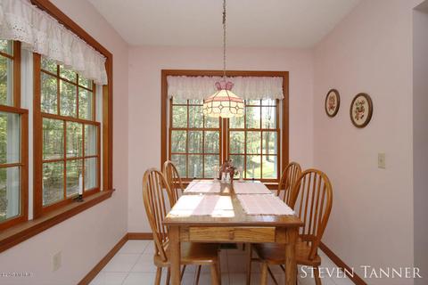 299 E Pakes Rd, Stanton, MI 48888 photo 12