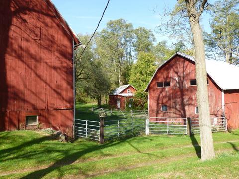 901 E Augusta Dr, Augusta, MI 49012 photo 36
