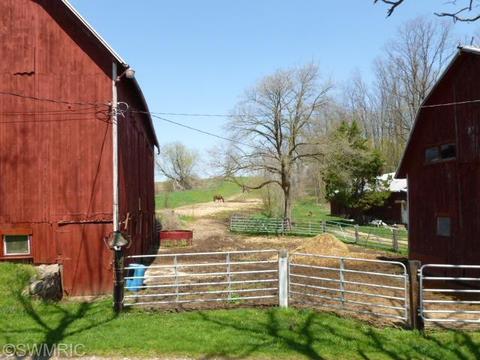 901 E Augusta Dr, Augusta, MI 49012 photo 17