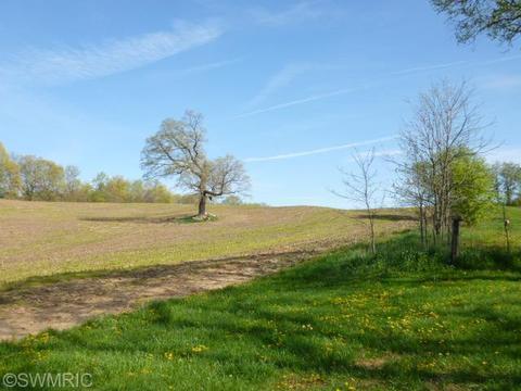 901 E Augusta Dr, Augusta, MI 49012 photo 32