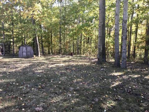 9370 Merle Dr, Crystal, MI 48818 photo 25