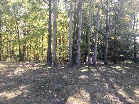 9370 Merle Dr, Crystal, MI 48818 photo 27