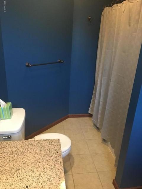 56895 Chippewa Dr, Three Rivers, MI 49093 photo 33