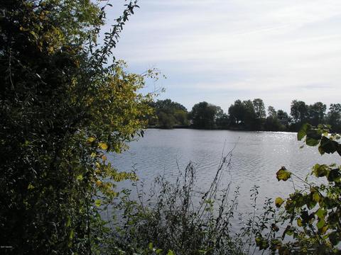 24209 Wakeman, Mendon, MI 49072 photo 5