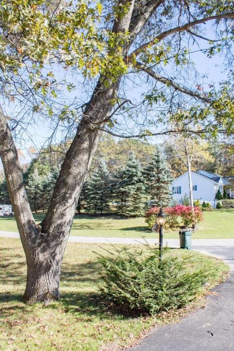 17457 Outer Dr, Big Rapids, MI 49307 photo 56