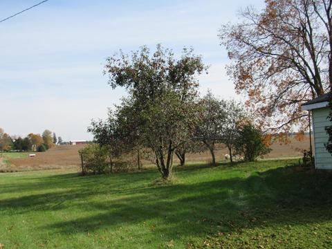 55035 Walterspaugh, Mendon, MI 49072 photo 6