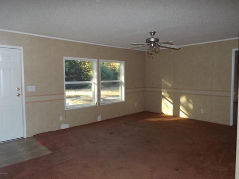 1013 E Madison Rd, Hart, MI 49420 photo 3