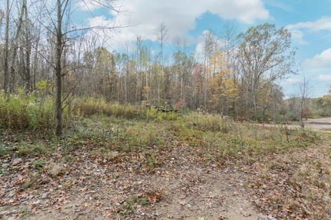 4302 Amazon, Lowell, MI 49331 photo 39