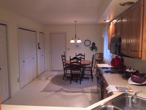 108 E Gatehouse Dr, Edmore, MI 48829 photo 3