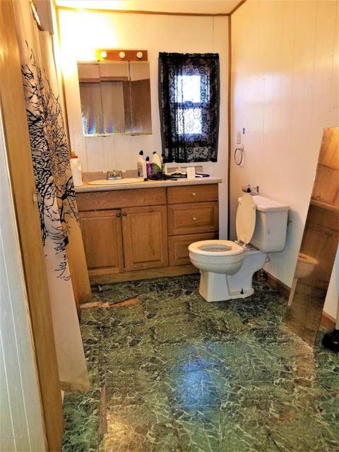 4073 E Shr, Stanton, MI 48888 photo 22