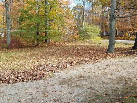 4073 E Shr, Stanton, MI 48888 photo 6