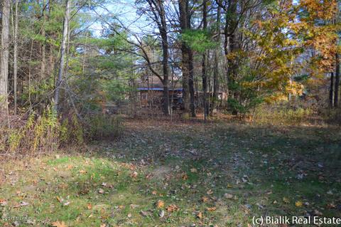 7750 E 36th St, Newaygo, MI 49337 photo 57