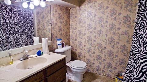 12433 Cabin Dr, Belding, MI 48809 photo 71