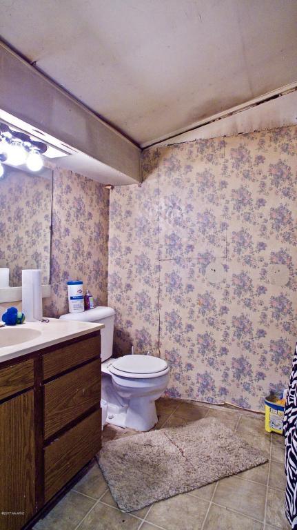 12433 Cabin Dr, Belding, MI 48809 photo 73