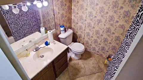 12433 Cabin Dr, Belding, MI 48809 photo 72
