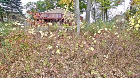12433 Cabin Dr, Belding, MI 48809 photo 41