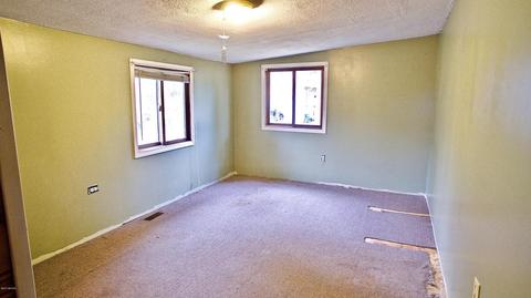 12433 Cabin Dr, Belding, MI 48809 photo 28
