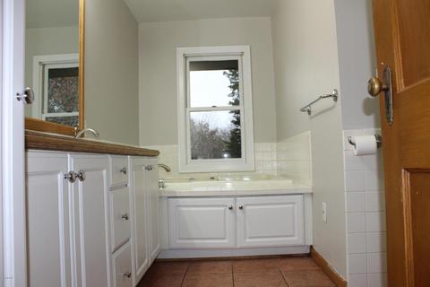 579 E Parmeter Rd, Ionia, MI 48846 photo 22