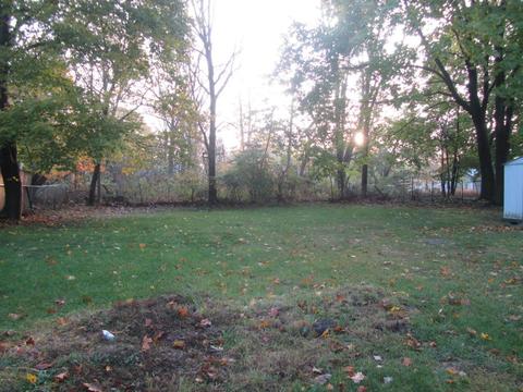 321 S Hamilton St, Marshall, MI 49068 photo 25