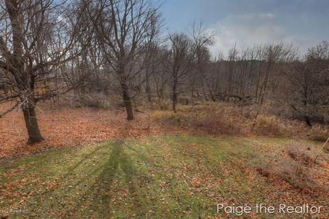 3995 Mckendry Rd, Ionia, MI 48846 photo 28