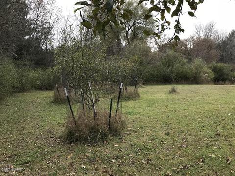 12273 40th Ave, Remus, MI 49340 photo 30