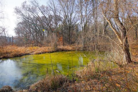 22959 66th Ave, Mattawan, MI 49071 photo 20