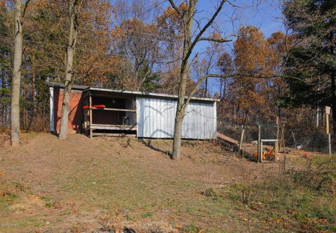 22959 66th Ave, Mattawan, MI 49071 photo 22