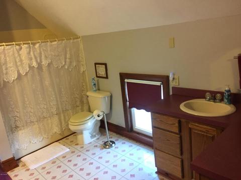 4875 Johnson, Belding, MI 48809 photo 58