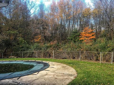 715 N Drive Dr E, Marshall, MI 49068 photo 4