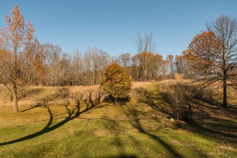 10342 Hoffman Rd, Marcellus, MI 49067 photo 39