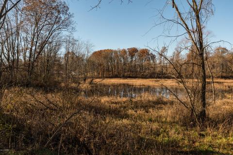 10342 Hoffman Rd, Marcellus, MI 49067 photo 38