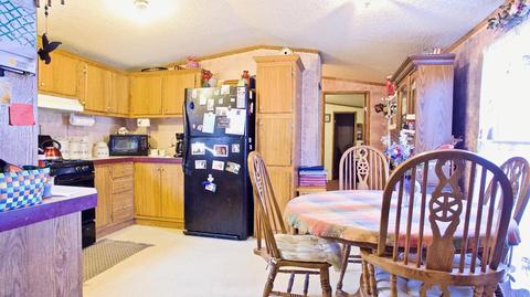 4045 East Shore Dr, Stanton, MI 48888 photo 9