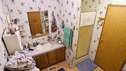 4045 East Shore Dr, Stanton, MI 48888 photo 30