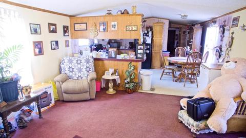 4045 East Shore Dr, Stanton, MI 48888 photo 16