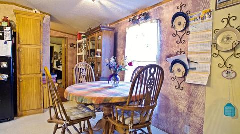 4045 East Shore Dr, Stanton, MI 48888 photo 8