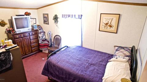 4045 East Shore Dr, Stanton, MI 48888 photo 26