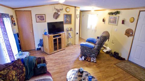 4045 East Shore Dr, Stanton, MI 48888 photo 18