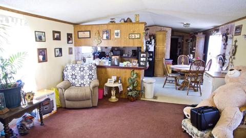 4045 East Shore Dr, Stanton, MI 48888 photo 14