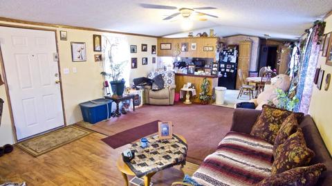 4045 East Shore Dr, Stanton, MI 48888 photo 22
