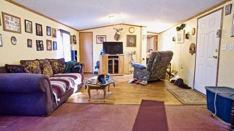 4045 East Shore Dr, Stanton, MI 48888 photo 20