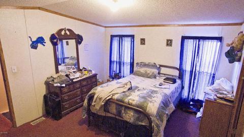 4045 East Shore Dr, Stanton, MI 48888 photo 24