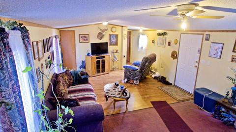 4045 East Shore Dr, Stanton, MI 48888 photo 21