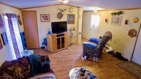 4045 East Shore Dr, Stanton, MI 48888 photo 19