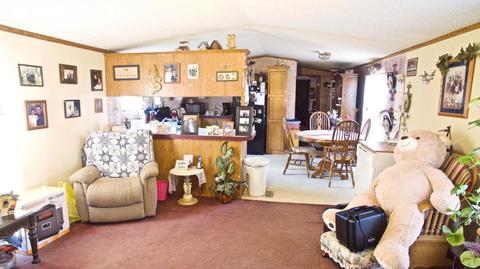 4045 East Shore Dr, Stanton, MI 48888 photo 15